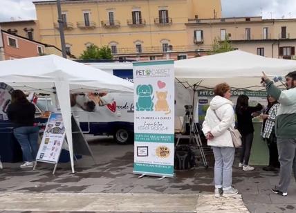 Pet Camper Tour arriva in Umbria: il 10 e l'11 giugno l'evento ad Assisi