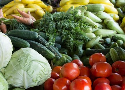 Dieta vegetariana: gli italiani sempre più propensi ad un'alimentazione green
