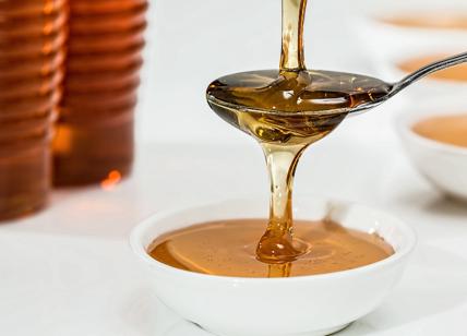 Quali sono le proprietà e i benefici del miele?