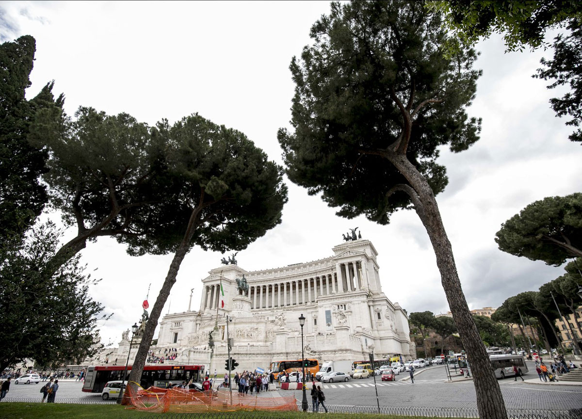 I pini monumentali di Roma I pini monumentali di Roma