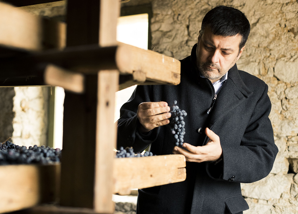 Raffaele Boscaini Coordinatore Gruppo Tecnico Masi