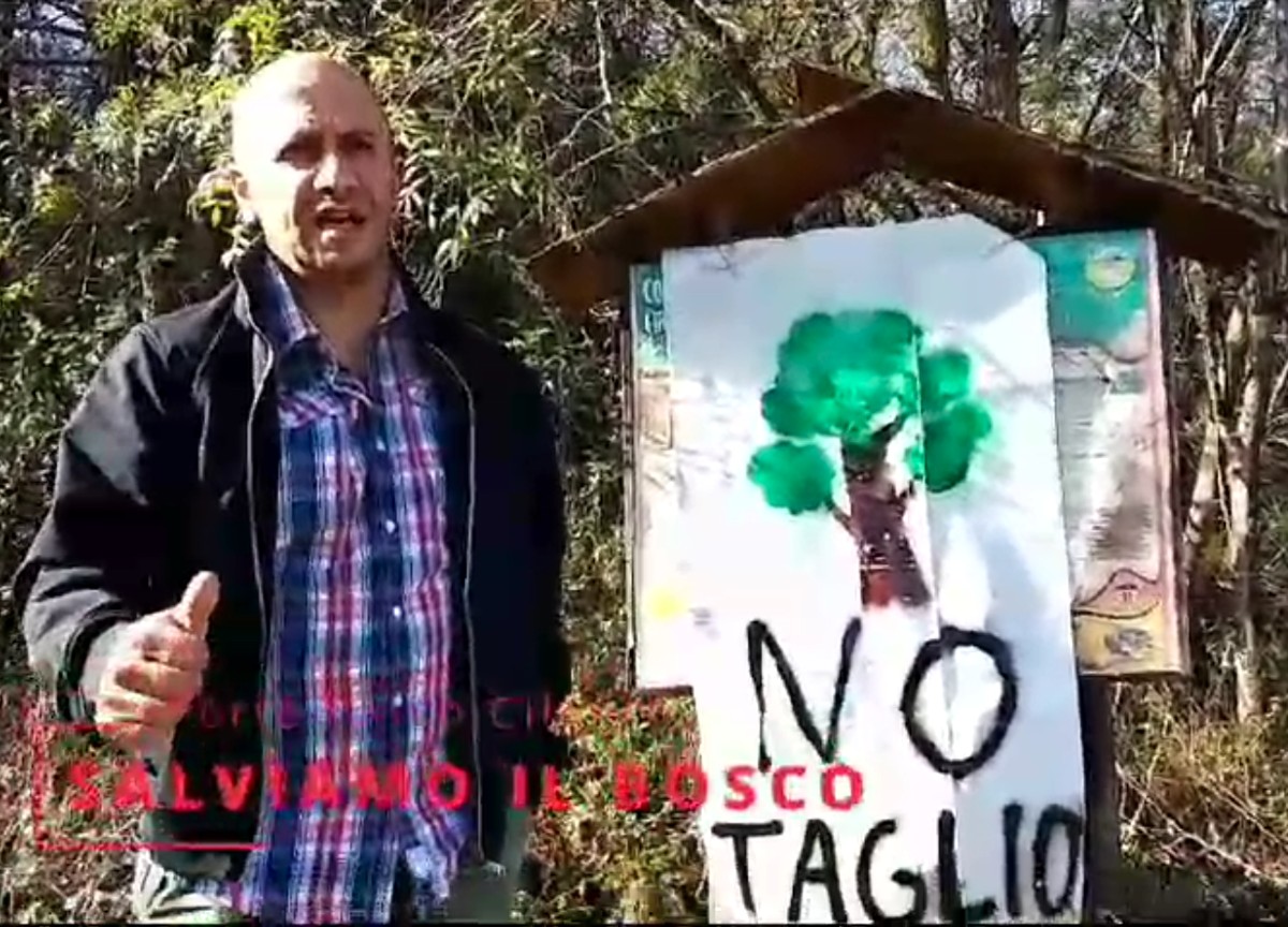 Salviamo il bosco