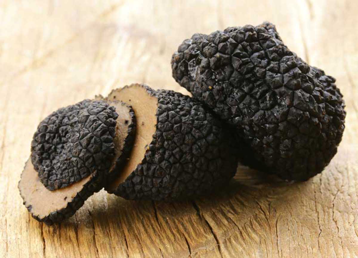 Tartufi Tartufi