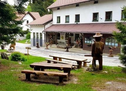Carne d'orso servita per pranzo e cena: bufera su un ristorante sloveno