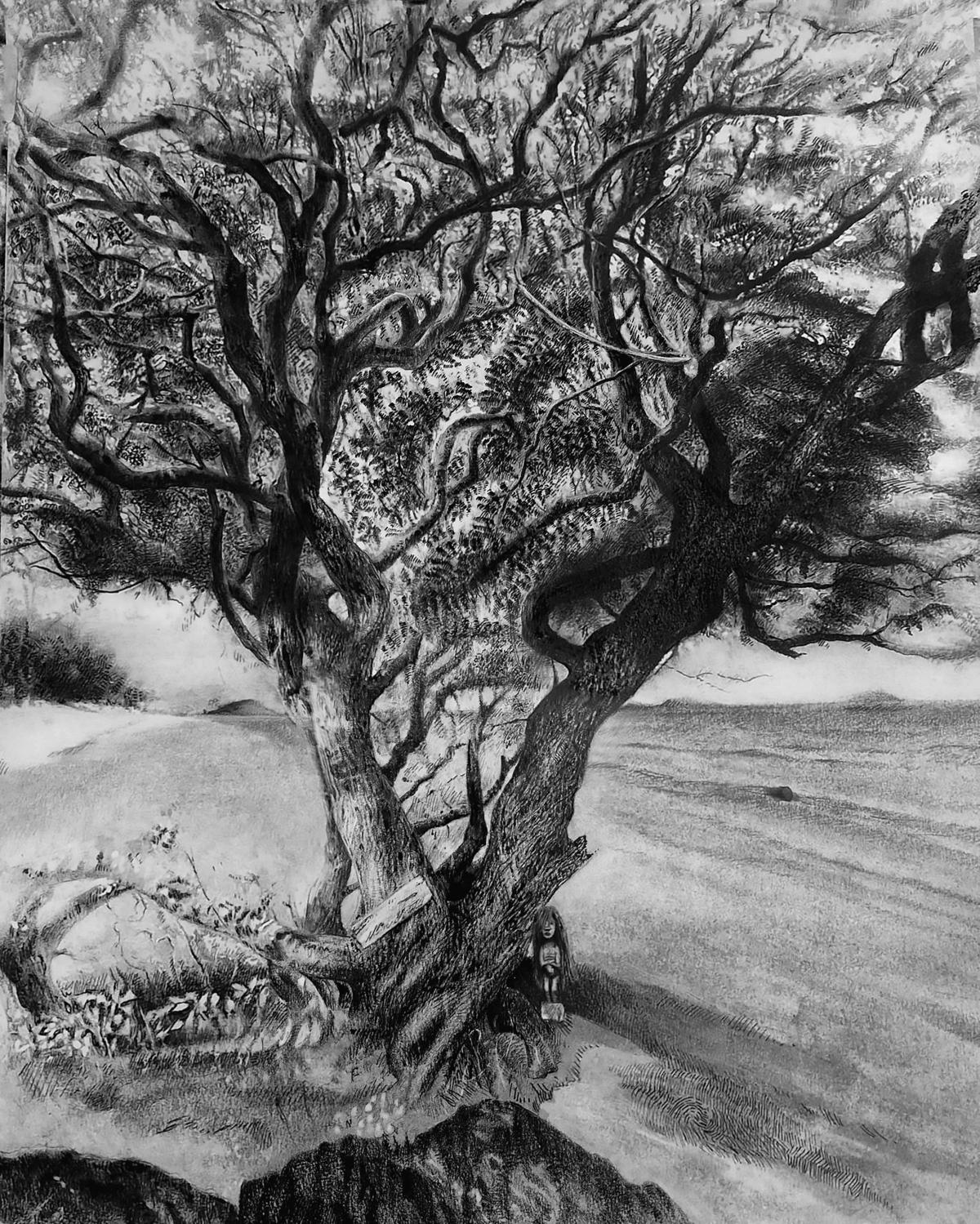 Tsarabanjina Sacred Tree and the Kalanoro