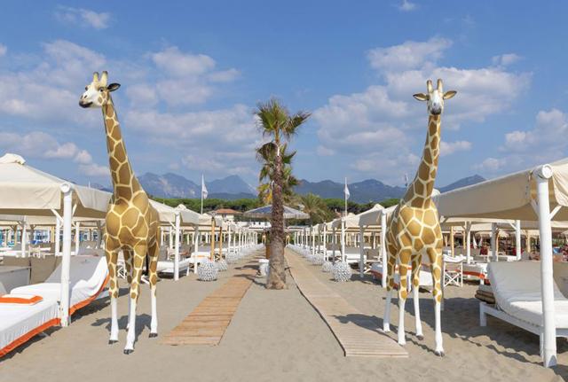 Il Twiga di Marina di Pietrasanta. Il Twiga di Marina di Pietrasanta.