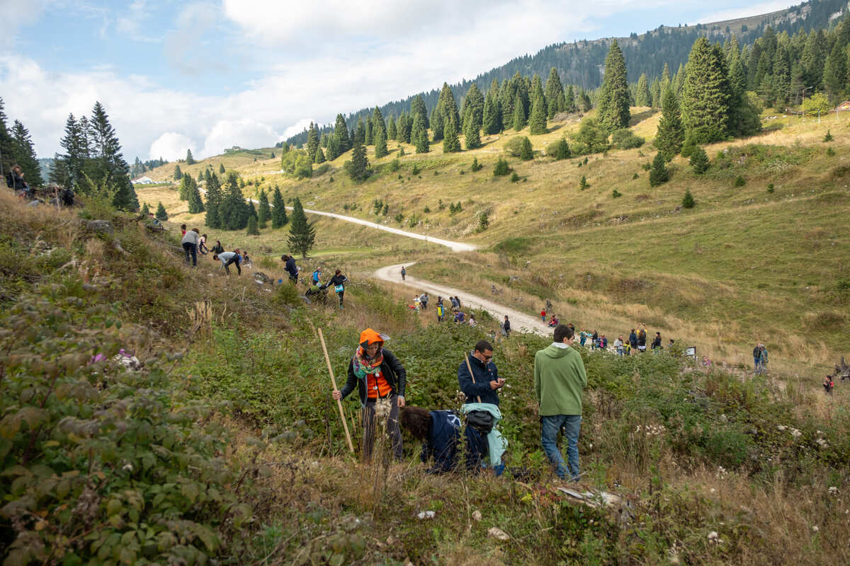 VAIA, inaugurata la seconda edizione de "La Foresta degli Innovatori"