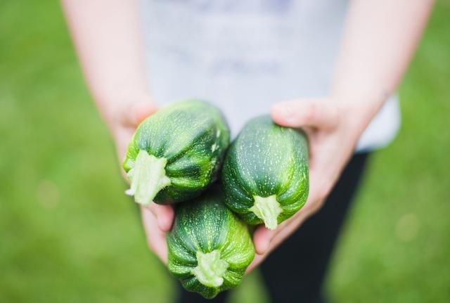 Cortilia, il modello della filiera corta non ripaga. Due anni per invertire la rotta