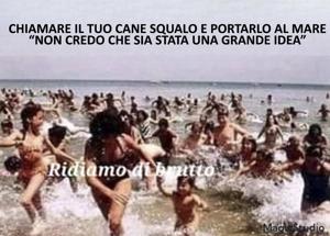 Affari va in Rete
