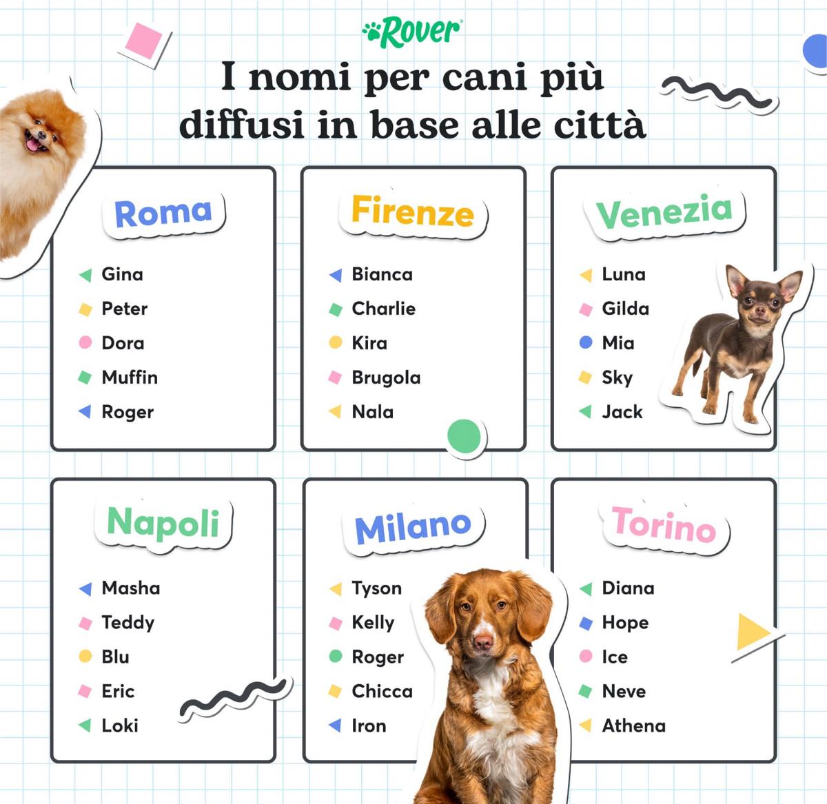 Report nomi più scelti per i cani