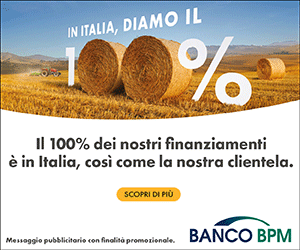Affari Italiani Banner