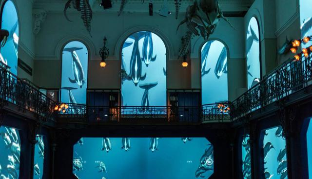 Il futuro del Mediterraneo in mostra nel Principato di Monaco