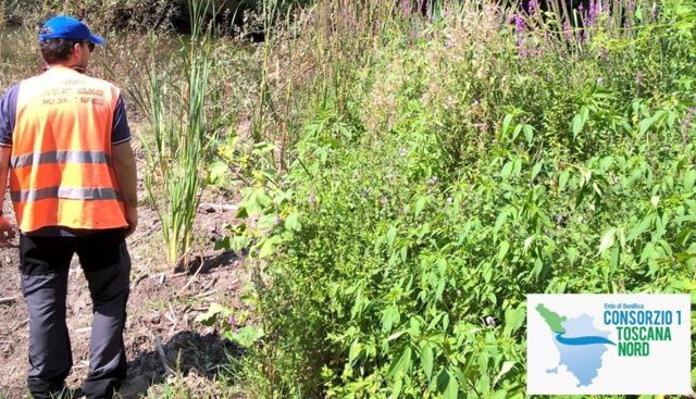 ANBI, al via Argini Fioriti: il progetto Toscano che unisce sicurezza, natura e biodiversità