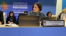 Cop16.2 sulla Biodiversità, dopo flop in Colombia si riparte a Roma