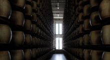 Parmigiano Reggiano: 2024 record a 3,2 mld euro, Usa primi su estero