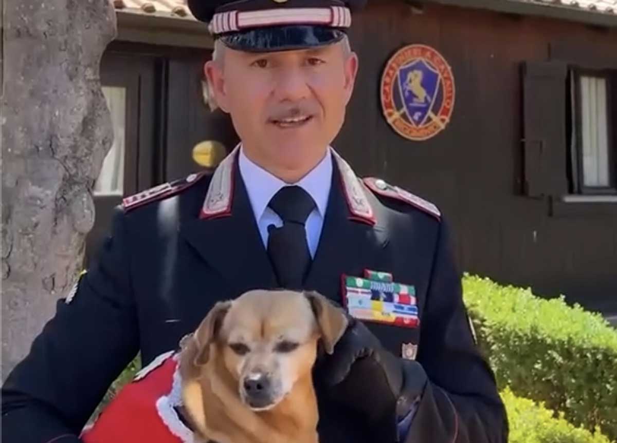 Briciola, la mascotte dei Carabinieri Briciola, la mascotte dei Carabinieri