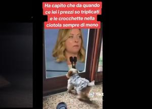 Giorgia Meloni compare in video e il cane impazzisce
