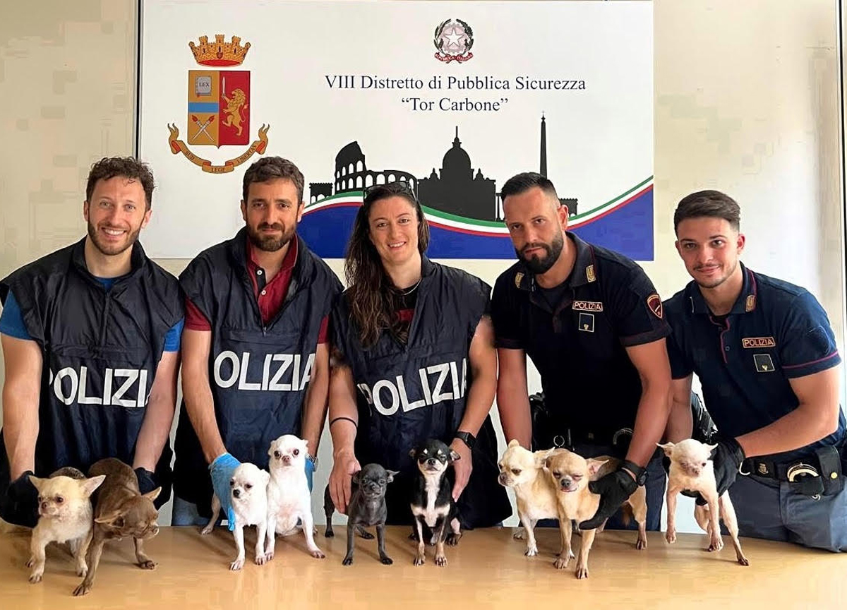 I cani salvati dalla Polizia