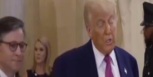Donald Trump Caroline Leavitt