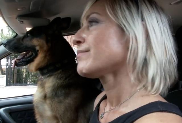Donna e Cane Poliziotti