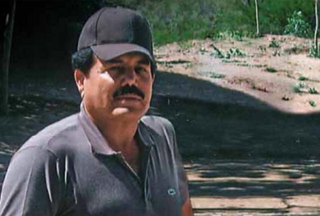 El Mayo El Mayo