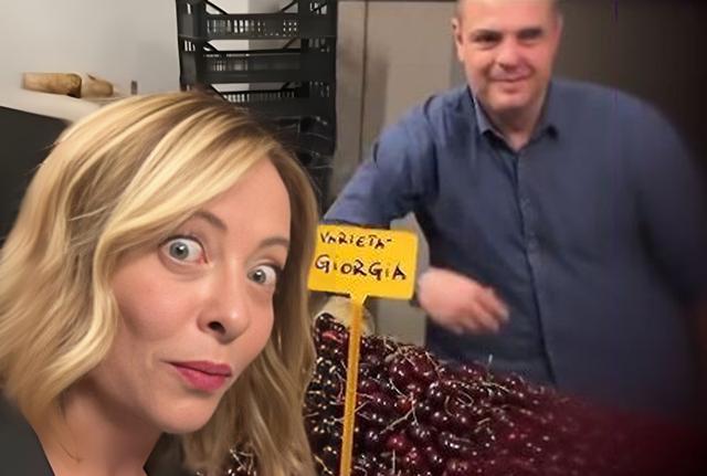 Giorgia Meloni Ciliegie Giorgia Meloni Ciliegie