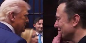 Giorgia Meloni e Elon Musk