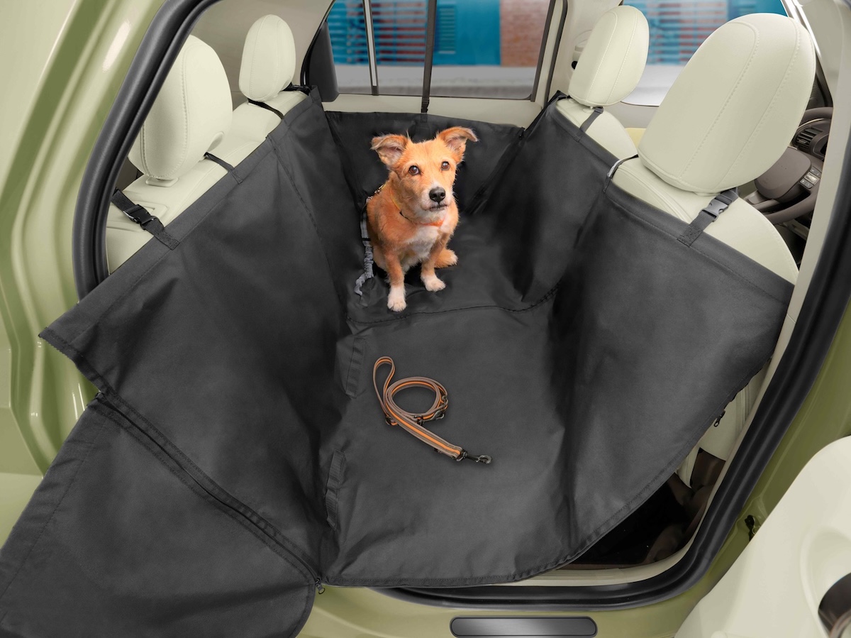 Hyundai pet-friendly: la mobilità su misura per chi viaggia con animali domestici