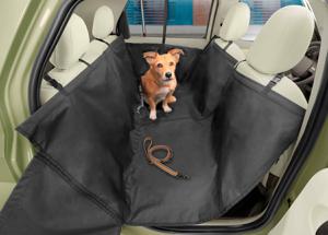 Hyundai pet-friendly: la mobilitÃ  su misura per chi viaggia con animali domestici