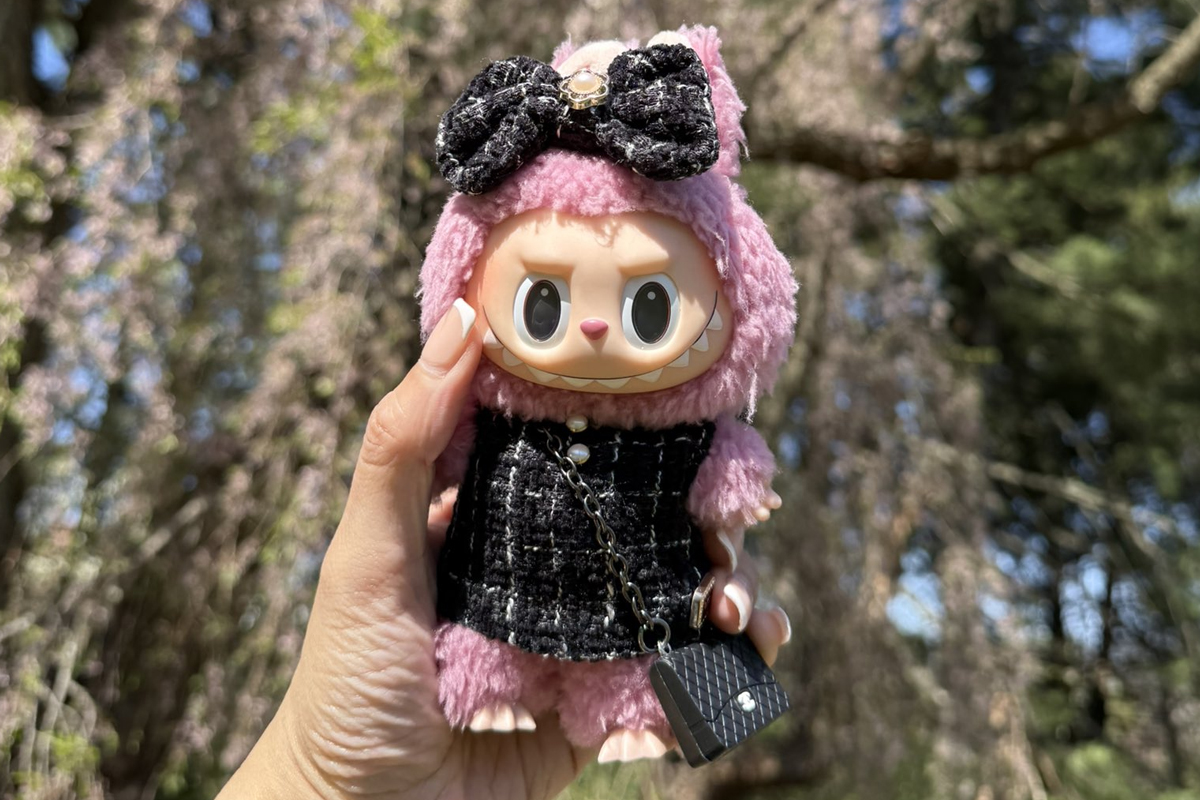 Labubu Labubu