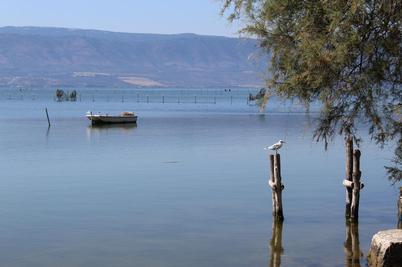 https://www.affaritaliani.it/static/upl2024/lago/lago-varano--1-1.jpg