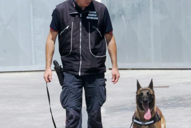 Il nucleo antiveleno dei Carabinieri in azione Il nucleo antiveleno dei Carabinieri in azione