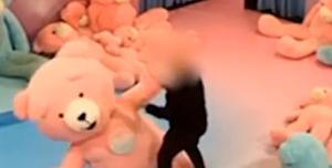 orso preso a pugni