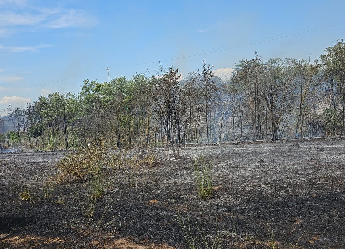 Parco degli Acquedotti in fiamme