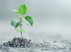 Essere resilienti: la strategia di Genioin21giorni