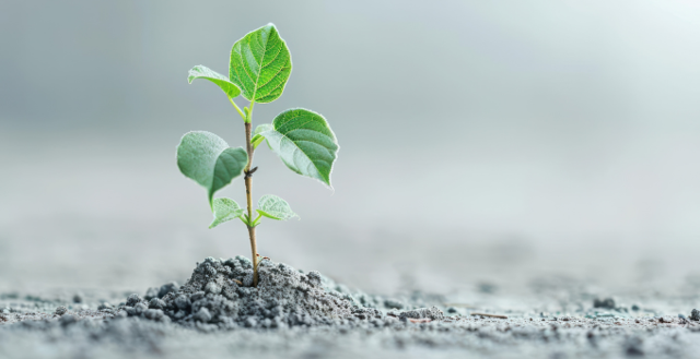 Essere resilienti: la strategia di Genioin21giorni