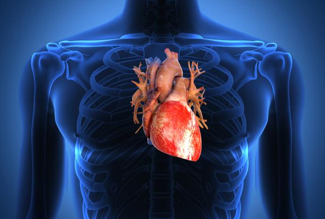 'Mics' a Bari gli esperti di chirurgia e valvole cardiache