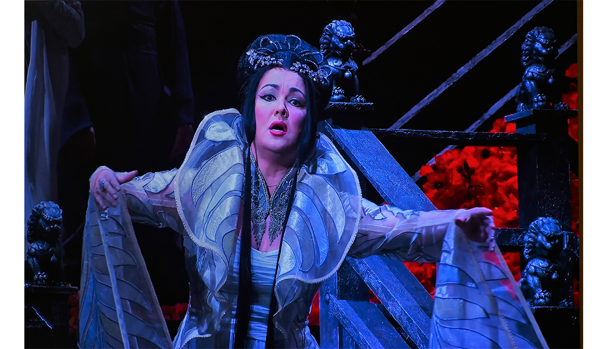 Photo credit Nick Zonna Photo credit Nick Zonna