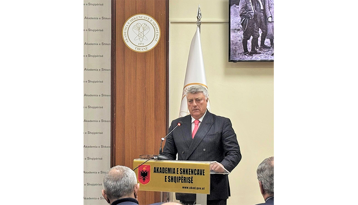 Photo credit  Nick Zonna