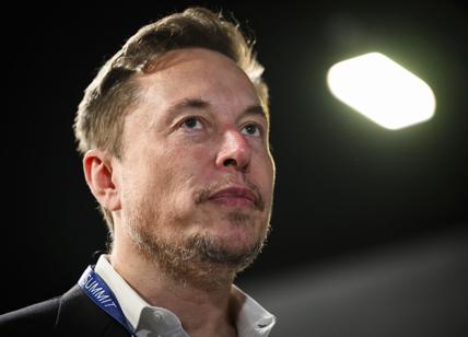 Davos, Musk prende in giro Trump su Groenlandia e Venezuela: "Board of peace o board of piece?"