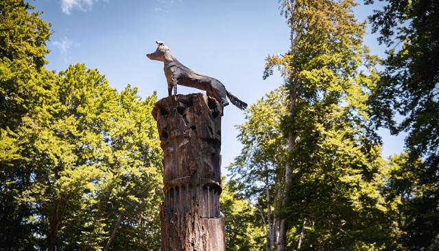 ARTEPARCO 2025, BMW sostiene l’arte contemporanea nella natura