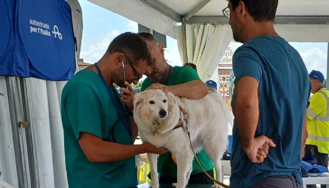 ASPI: chiude nel Lazio la Carovana della sicurezza con check up, simulatori e presidi veterinari
