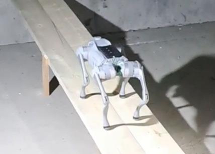 A35 Brebemi, anche i cani robot per rendere sempre più sicura la tratta in vista delle Olimpiadi