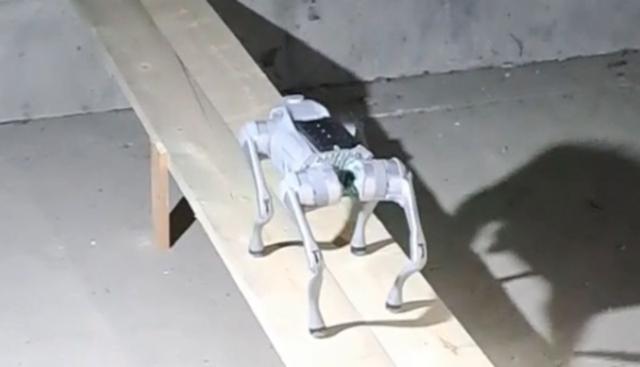 I "cani robot" utilizzati da A35 Brebemi I "cani robot" utilizzati da A35 Brebemi