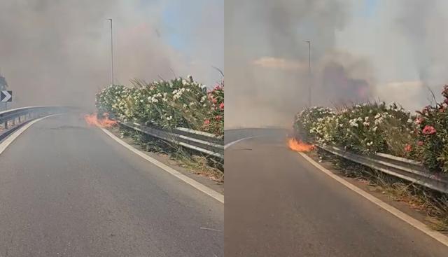 Incendio a Catania, aeroporto chiuso: voli sospesi per fiamme vicino alla pista. Stop al traffico verso Siracusa