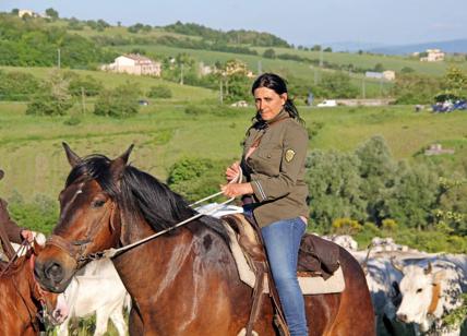 Molise, il carattere 'transumante' di Carmelina Colantuono-pastora