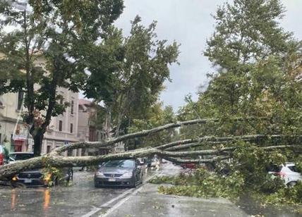 Ispra, in Puglia cresce dell'1,5% il territorio a pericolosità frane