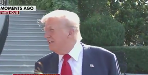 donald trump macron palestina