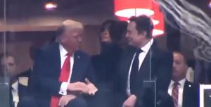 Donald Trump e Elon Musk