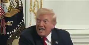 Donald Trump insulta giornalista